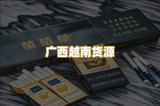 广西越南货源